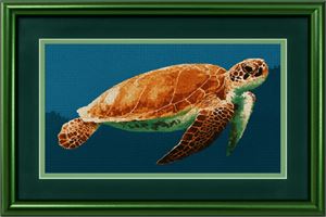 Photograph of product.